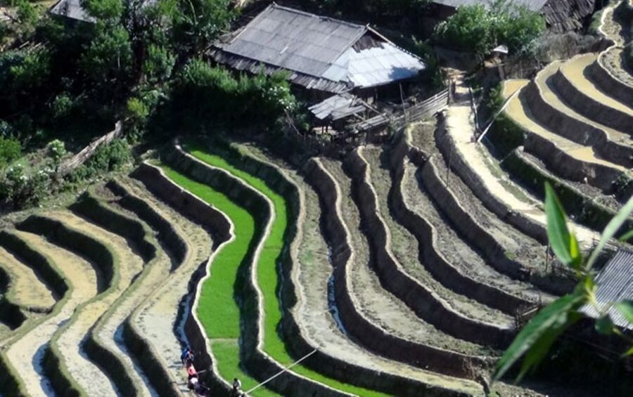 Sa Pa: 6-Hours Muong Hoa Valley Trek with Local Ethnic guide - Guide quality and group size