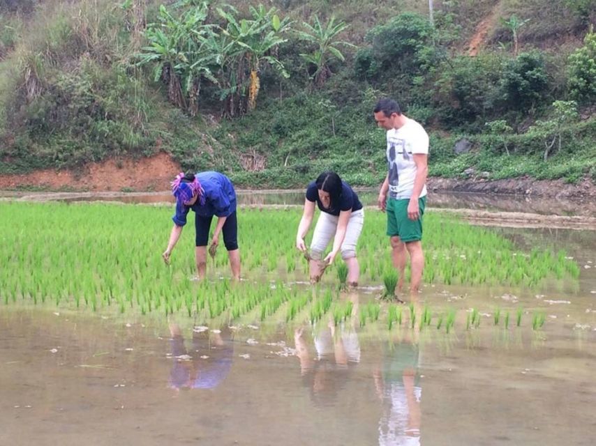 Sa Pa: 6-Hours Muong Hoa Valley Trek with Local Ethnic guide - Lao Chai delivers the big rice terrace views