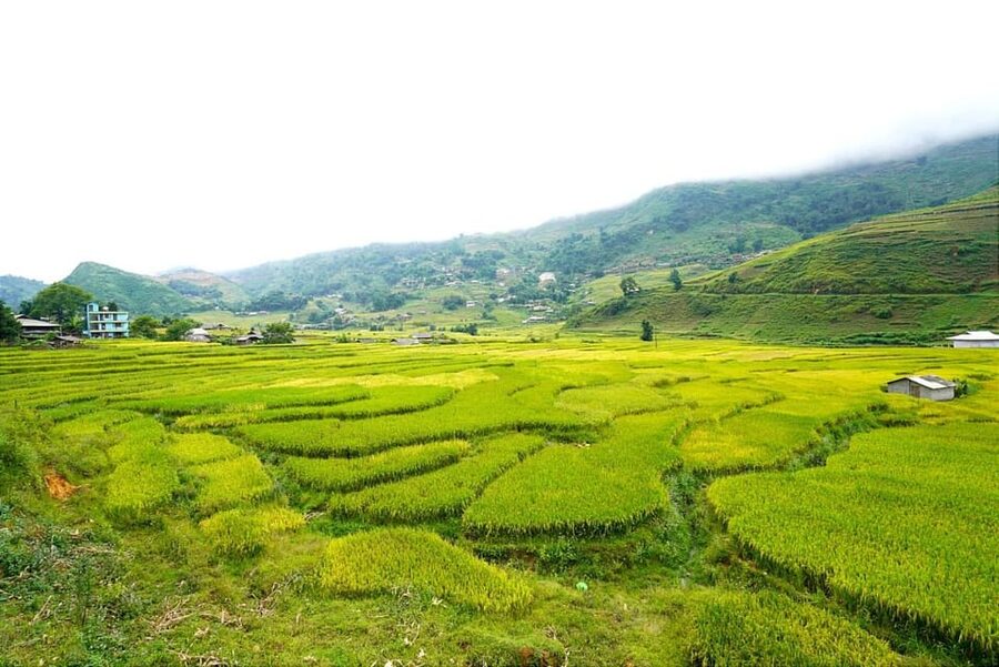Sa Pa: Half-Day Cat Cat Village Hike to Meet H'mong People - Booking details worth checking first