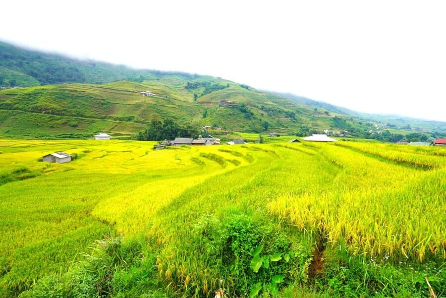 Sa Pa: Half-Day Cat Cat Village Hike to Meet H'mong People - What the $17 price really covers