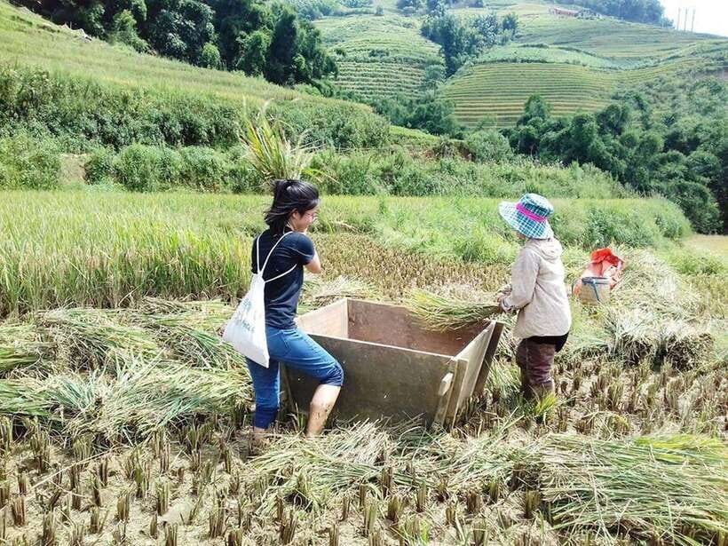 Sa Pa: Muong Hoa Valley Trek and Local Ethnic Villages - What this Sa Pa trek is really like