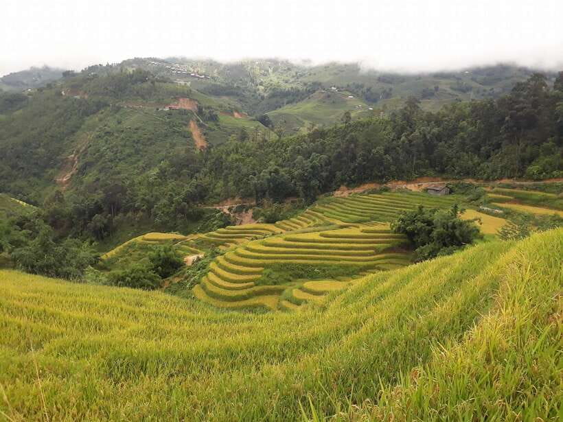 Sa Pa: Muong Hoa Valley Trek and Local Ethnic Villages - Lao Chai and Black Hmong village life