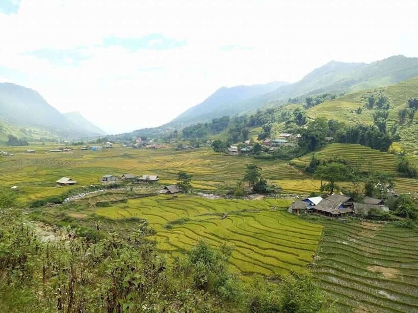 Sa Pa: Muong Hoa Valley Trek and Local Ethnic Villages - Ta Van Giay, suspension bridge, and ancient carvings