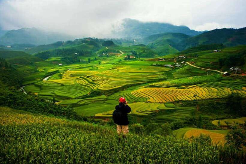 Sa Pa: Muong Hoa Valley Trek and Local Ethnic Villages - Bamboo forest and Red Dao village