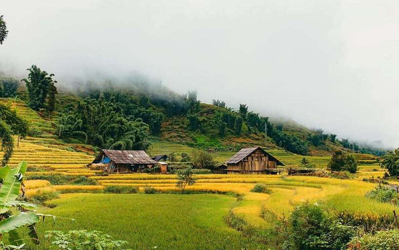 Sa Pa: Muong Hoa Valley Trek and Local Ethnic Villages - Guide quality makes the biggest difference