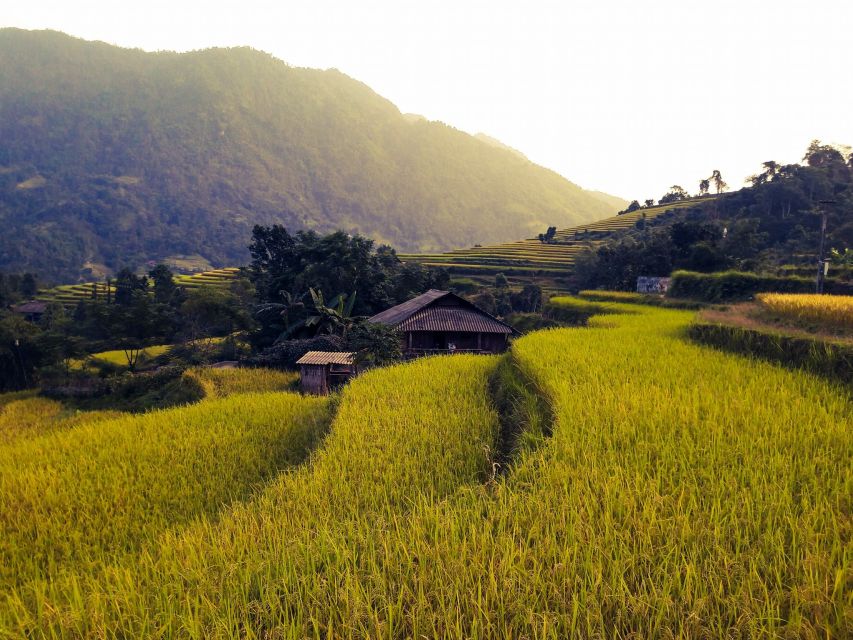 Sa Pa: Muong Hoa Valley Trek and Local Ethnic Villages - How hard is the 10-kilometer route?