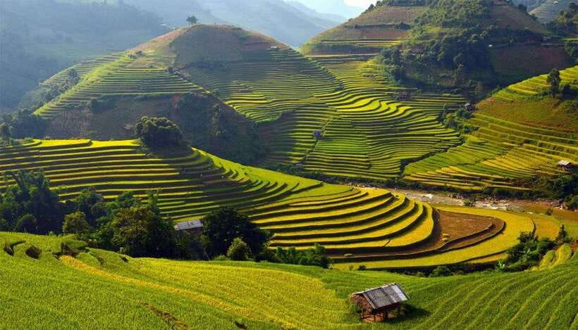 Sa Pa: Muong Hoa Valley Trek and Local Ethnic Villages - Rice terraces and the first river crossing