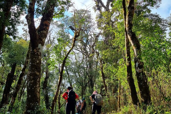 Sapa 1 day trek with local guide to the village by Comlam - Why this Sapa trek earns a place on your schedule