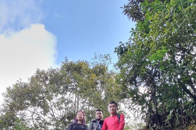 Sapa 1 day trek with local guide to the village by Comlam - Y Linh Ho and Lao Chai: fields, forest, and local life