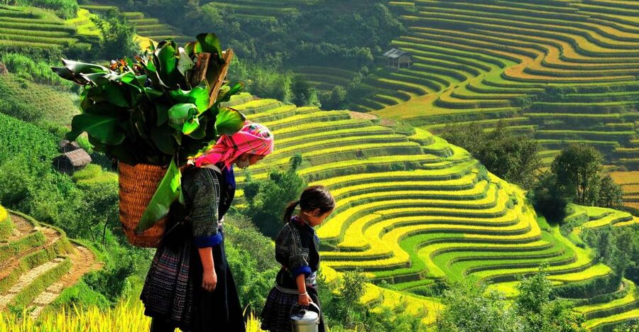 Sapa: 3-Day, 3-Night Trek and Hotel with Overnight Train - Lao Cai to Sapa, then the walk to Sin Chai