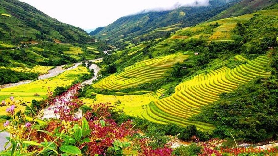 Sapa: 3-Day, 3-Night Trek and Hotel with Overnight Train - Muong Hoa Valley from Y Linh Ho to Lao Chai