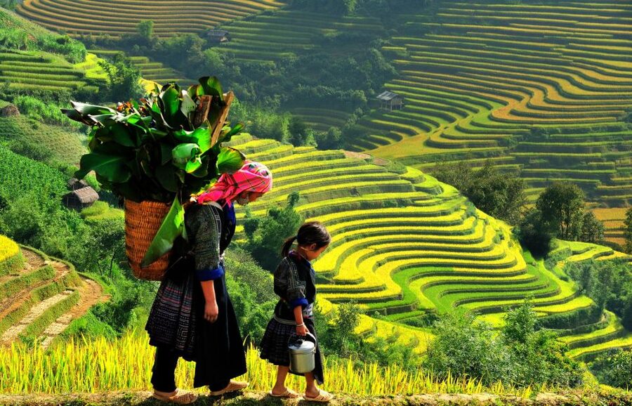 Sapa: 3-Day, 3-Night Trek and Hotel with Overnight Train - The overnight train from Hanoi to Lao Cai
