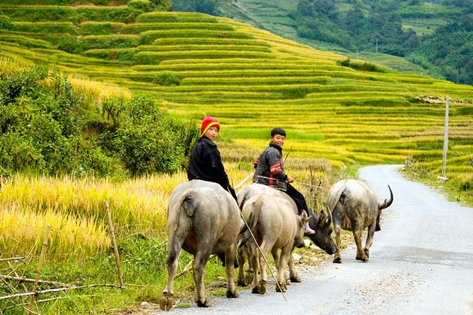 Sapa 3 Days 2 Nights Trekking Tour (1 Night In Ta Van Village, 1 Night In Hotel) - Cat Cat Village on the first afternoon