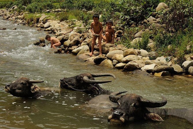 Sapa 3 Days 2 Nights Trekking Tour (1 Night In Ta Van Village, 1 Night In Hotel) - The 12-kilometer walk through Y Linh Ho