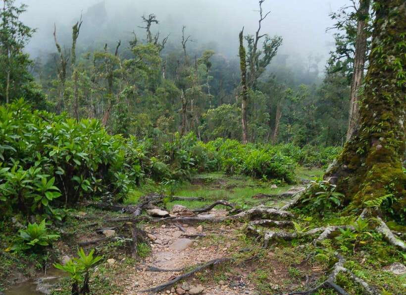 SAPA : Climb up to Fansipan mountain with LOCAL GUIDE - How much value do you get for $72?