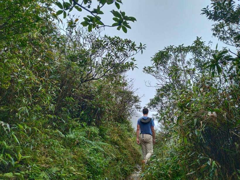 SAPA : Climb up to Fansipan mountain with LOCAL GUIDE - Why climb Fansipan from Sapa?