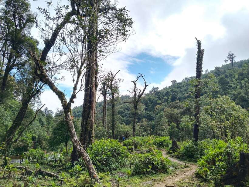 SAPA : Climb up to Fansipan mountain with LOCAL GUIDE - Tram Ton Pass at 1,800 meters
