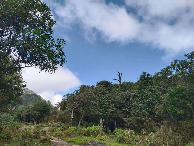 SAPA : Climb up to Fansipan mountain with LOCAL GUIDE - Rocks, stairs, and the hardest hours
