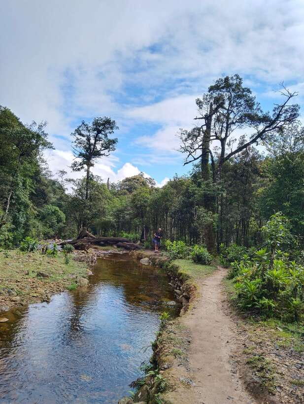 SAPA : Climb up to Fansipan mountain with LOCAL GUIDE - Mountain lunch and a welcome pause
