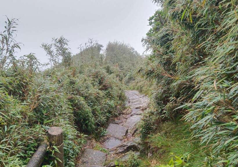 SAPA : Climb up to Fansipan mountain with LOCAL GUIDE - Descending on foot or taking the cable car