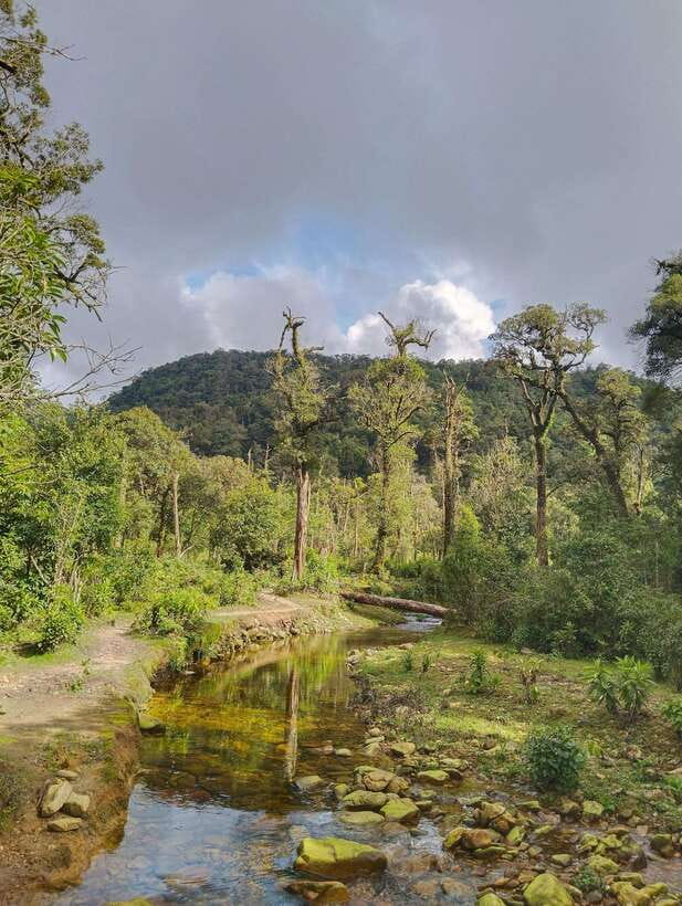SAPA : Climb up to Fansipan mountain with LOCAL GUIDE - Returning to Sapa between 4 and 6 PM