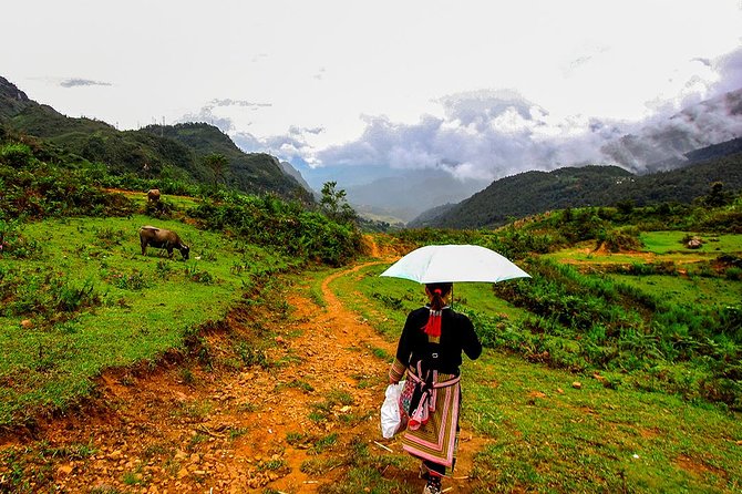 Sapa Easy Trekking Tour 1 Day - Rice Paddies and Cultures - Starting at Sapa Church at 9:00 am