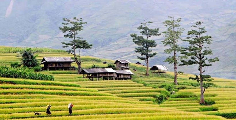Sapa: Eco Adventure Terrace Fields and Local Villages Trek - Y Linh Ho and the Hmong valley route