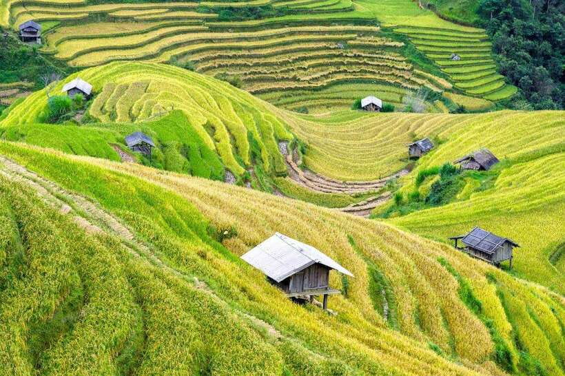 Sapa: Eco Adventure Terrace Fields and Local Villages Trek - Is $27 good value for Sapa?