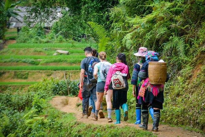 Sapa Motorbike Experience: Local Life, Rice Fields & Waterfalls - What the $78 price really covers