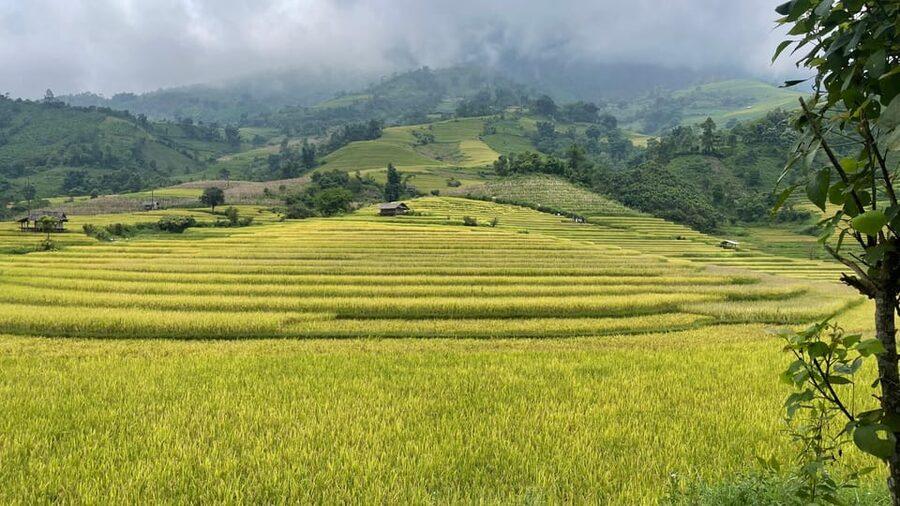 Sapa: Motorbike Tour 1 Day Visit Waterfalls & Local Villages - Lonely Tree and the view into the valley
