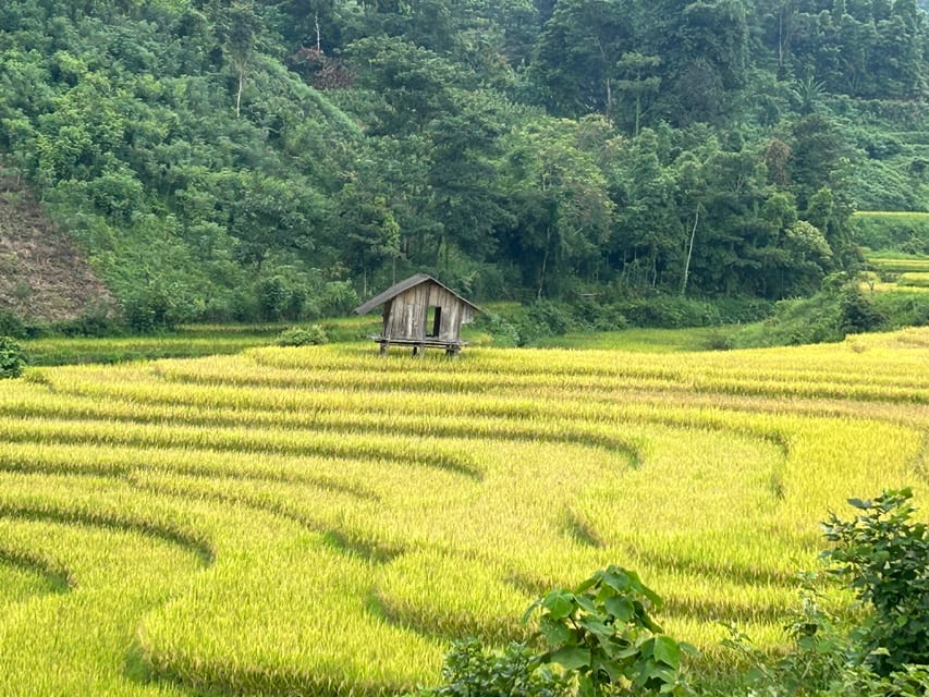 Sapa: Motorbike Tour 1 Day Visit Waterfalls & Local Villages - Lunch in Lao Chai beside the stream