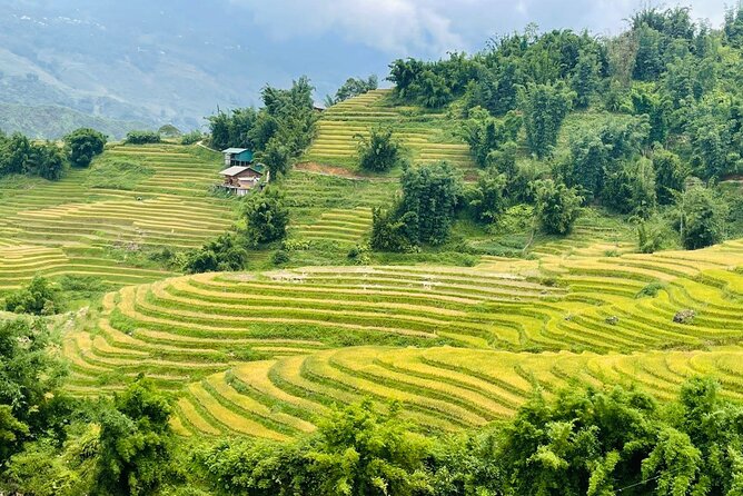 Sapa Motorbike Tour With Local Guide 1 Day - Waterfalls, Villages - The village lunch is more useful than a quick snack