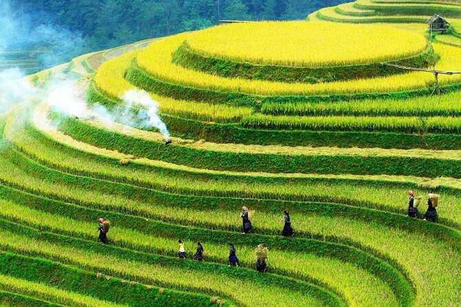 Sapa Muong Hoa Valley & Ta Van Eco Village Scenic Tour (No Trek) - Key points to know before booking
