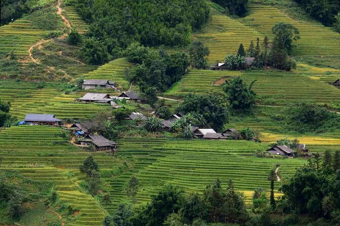 Sapa Muong Hoa Valley & Ta Van Eco Village Scenic Tour (No Trek) - La Dao Spa and the Dao herbal foot bath