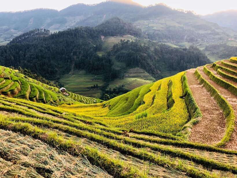 Sapa: Private Highlights Day Tour with Lunch - O Quy Ho Pass and the Lonely Tree finish the scenic route