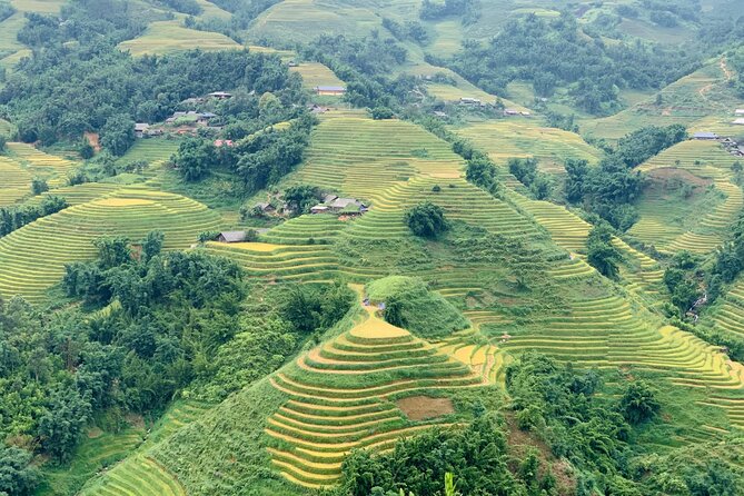 Sapa The Hidden Trail Trek 1 Day - Mountain & Rice Valley - What This Sapa Trek Really Offers