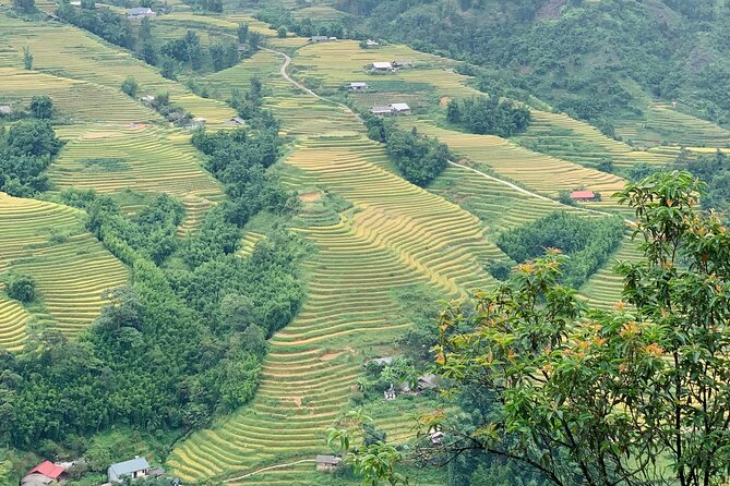 Sapa The Hidden Trail Trek 1 Day - Mountain & Rice Valley - Giang Ta Chai Village and Dao Culture