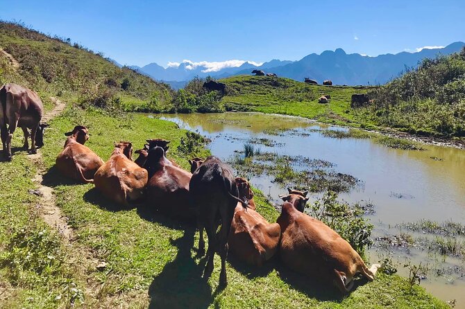 Sapa The Hidden Trail Trek 1 Day - Mountain & Rice Valley - Lunch After the Long Climb