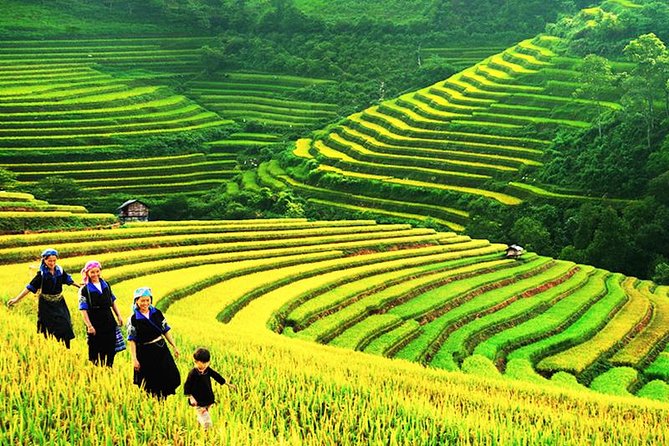 Sapa Tours 2D1N stay At 4 stars hotel nice Sleeping Bus TRANSFER - Freesia Hotel, Lunch, And The First Afternoon