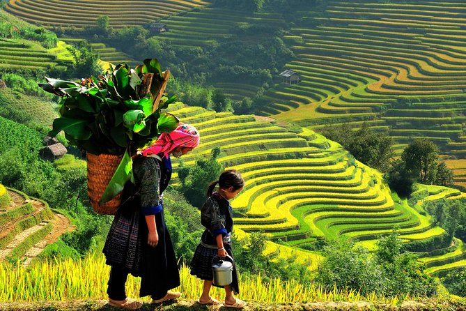 Sapa Tours 2D1N stay At 4 stars hotel nice Sleeping Bus TRANSFER - Ta Van And The Ride Back To Sapa
