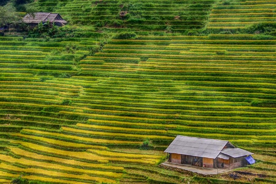 Sapa Trekking Bargains With Local Guide - Why this Sapa trek offers good value at $19