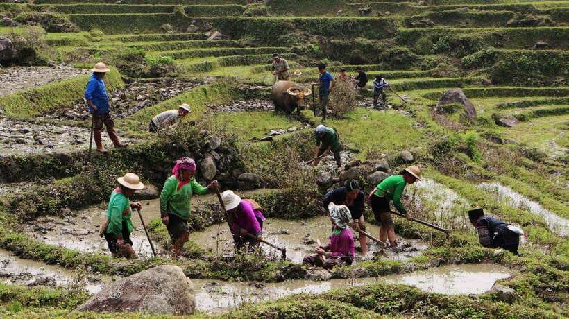 Sapa Trekking Bargains With Local Guide - Walking from Sapa toward Y Linh Ho