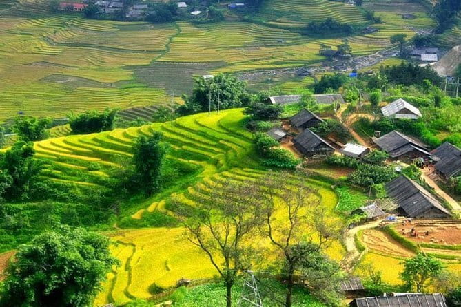 Sapa Trekking & Cooking with H’Mong Locals –Local Culture - Walking beside terraced fields through Lao Chai