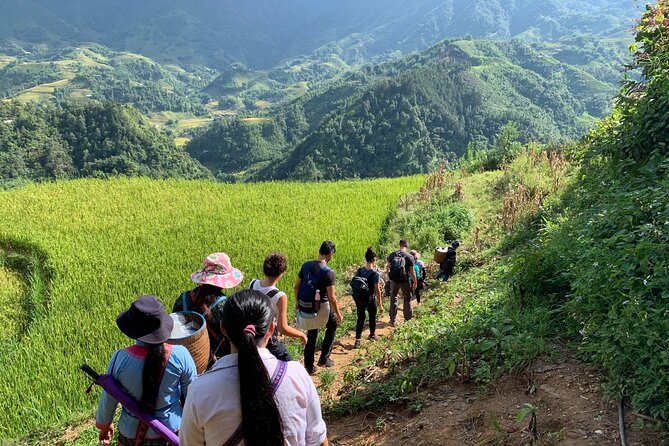 Sapa Trekking Tour 2 Days 1 Night By Bus - Arriving in Sapa and choosing your overnight style