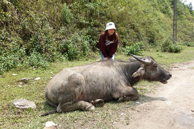 Sapa Valley Trek and Homestay - 3D2N - The guide is the heart of the trip
