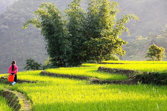Sapa Valley Trek and Homestay - 3D2N - Day one: from Sapa Town toward Ta Van
