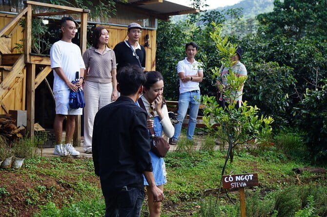 Scented Candle Workshop in Twin Beans Farm Da Lat - Learning the candle-making process