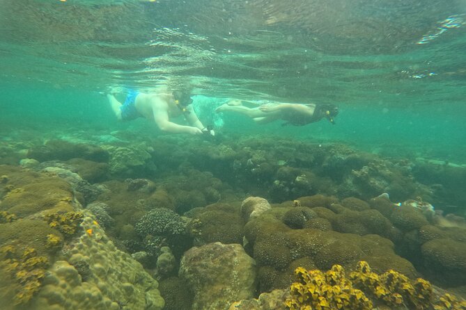 Snorkeling Island Hopping with Cable Car and Lunch - May Rut Island: beach time with a camera crew