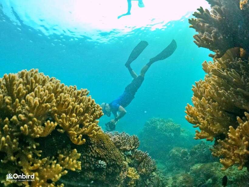 South Phu Quoc: Pro Snorkeling Tour by Speedboat - Getting comfortable in shallow water first