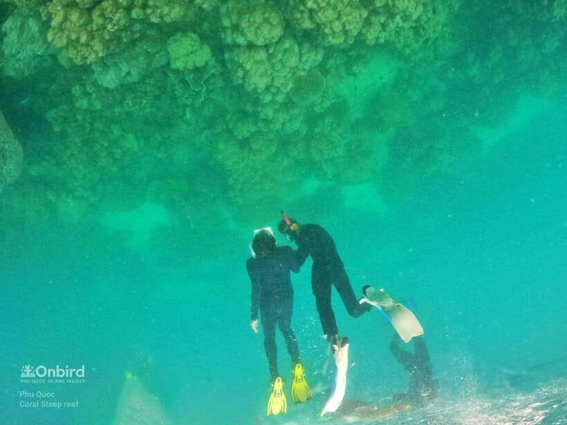South Phu Quoc: Pro Snorkeling Tour by Speedboat - Two reef sites, chosen for the day